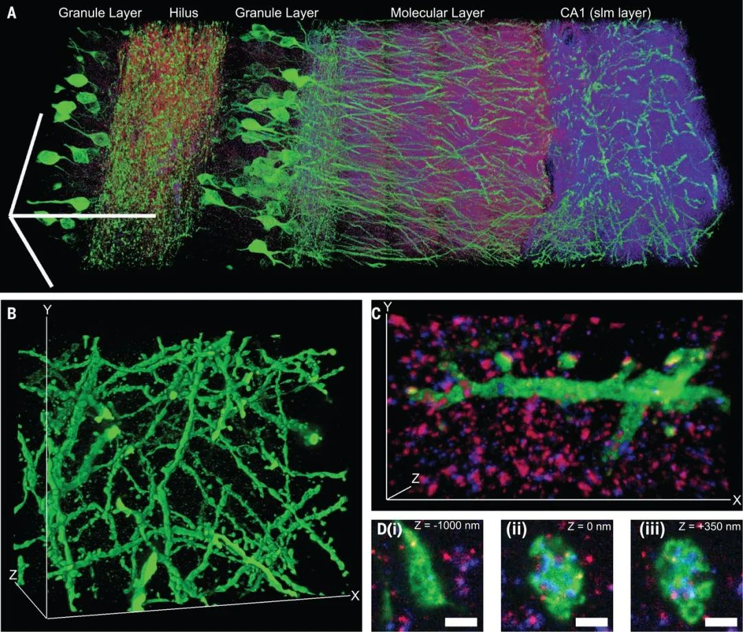 1675394893168214.jpg 1675394893168214.jpg