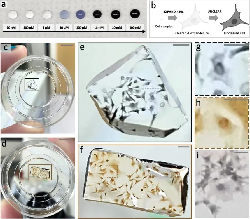 1675394917146008.jpg 1675394917146008.jpg