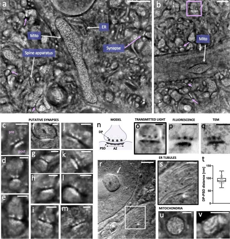 1675394966739032.jpg 1675394966739032.jpg