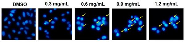 1675920139964730.jpg 1675920139964730.jpg