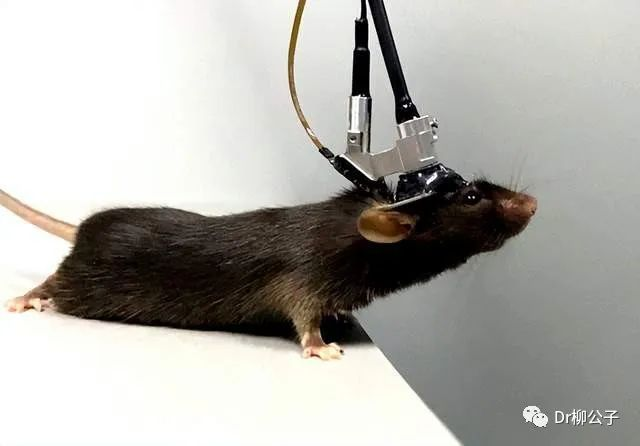 1677480479174792.png 1677480479174792.png