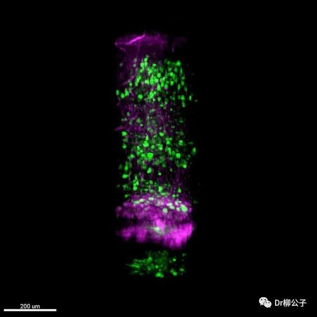 1677480498195004.png 1677480498195004.png